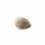 Seminte feminizate Gorilla Cake Feminized