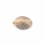 Seminte feminizate Zkittelz Feminized