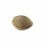 Seminte feminizate Afghan Purple Kush Feminized