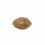 Seminte autoflower Auto Girl Scout Cookies Feminized