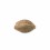 Seminte feminizate Black Cookies Feminized