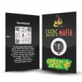 Green Devil Feminized 2 - seedsmafia.ro