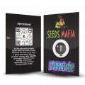 Ultimate CBD Feminized 2 - seedsmafia.ro