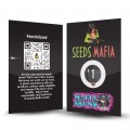 Seminte feminizate Mafia Skunk Turbo 2 - seedsmafia.ro