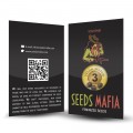 Seminte de marijuanna Romania - seedsmafia.ro