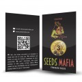 Seminte autoflower Auto Super Skunk feminised 3 - seedsmafia.ro