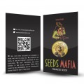 Seminte feminizate New York City Feminized 2 - seedsmafia.ro