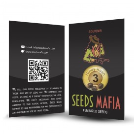 Seminte cannabis - seedsmafia.ro
