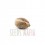 Seminte autoflower Auto Big Bud feminised