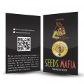 Seminte feminizate White Russian Feminised 2 - seedsmafia.ro