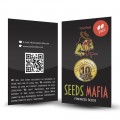 Seminte feminizate White Russian Feminised 5 - seedsmafia.ro