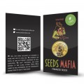 Seminte autoflower Auto Lowryder feminised 4 - seedsmafia.ro