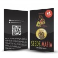 Seminte feminizate Mazar Feminised 5 - seedsmafia.ro