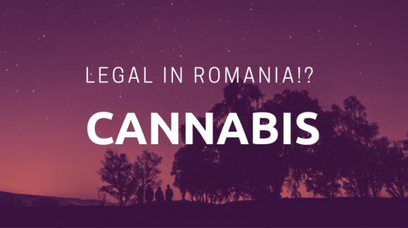 Canabis– legal în România?!